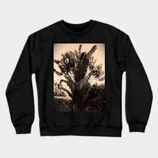 Travellers tree Crewneck Sweatshirt